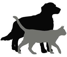 Male Cat Names | Image of a cat and a dog