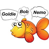 Image for choosing fish names